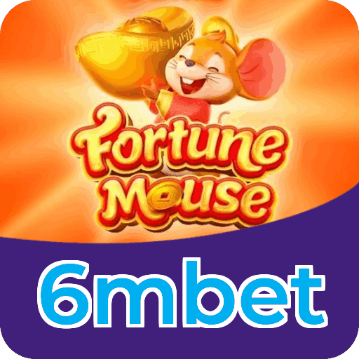 Termos e condições